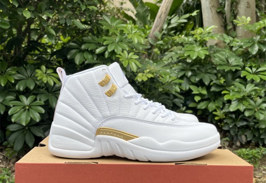 Air Jordan 12 Phantom FD9101-007 40-47.5 M120